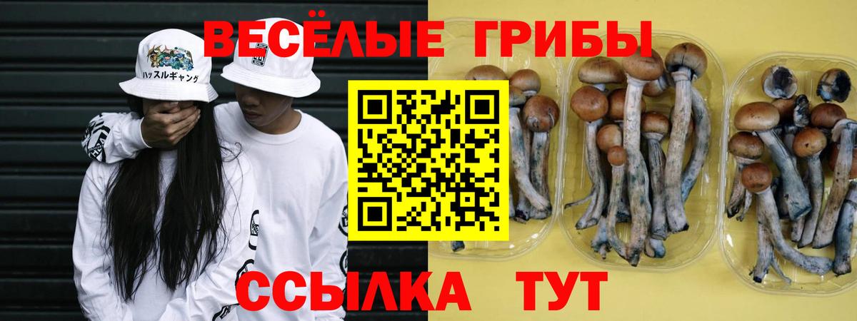 Псилоцибиновые грибы ЛСД  Вход с VPN  Кострома 